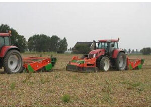 Zwiebelkrautschläger