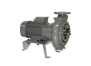 Trockenaufgestellte  Pumpen